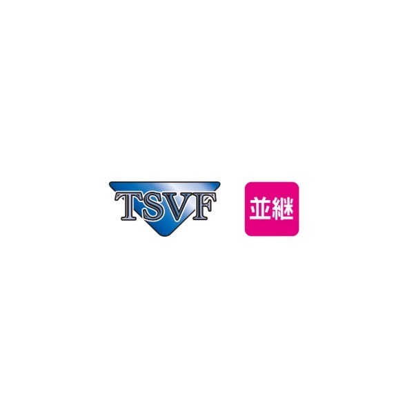 イングラム筏 EXPERT